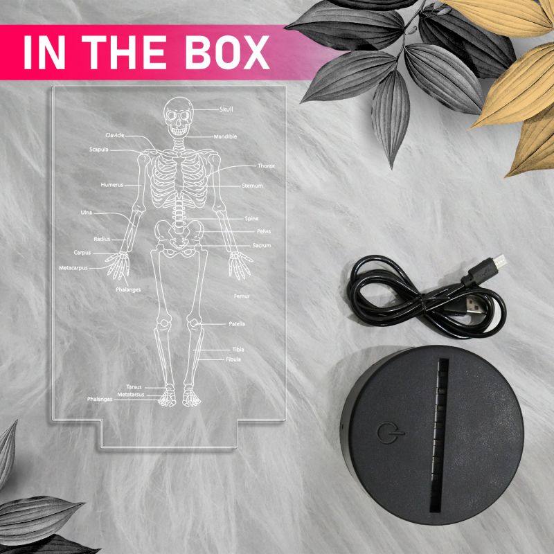 Skeleton of Human Body with Names 7 Color Changing Light with Remote Control